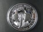 500 Shillings 2021 - sloni, kvalita proof,5 OZ  Ag 999,9, etue