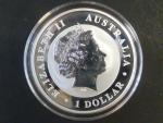 1 Dollars 2013 - Koala, 1 OZ Ag 999,9
