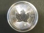 5 Dollars 2020 - Maple Leaf 1 OZ Ag 999,9