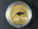 15 Dollars 2008 - 1/10 Oz (3,11g)  Au - Kangaroo, kvalita proof, Au 999/1000