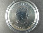 5 Dollars 2009 Maple Leaf 1 OZ Ag 999,9