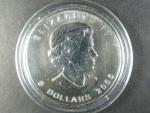 5 Dollars 2005 Maple Leaf 1 OZ Ag 999,9