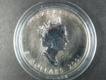 5 Dollars 2001 Maple Leaf 1 OZ Ag 999,9