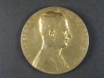 Bronzová pamětní medaile arcivévoda Karel F.J. protektor Německo České zemské výstavy v Chomutově 1913, průměr 60 mm