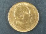 1 Pound 1907