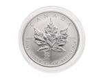 5 Dollars 2001 Maple Leaf 1 OZ Ag 999,9, rok Hada_
