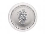 5 Dollars 2001 Maple Leaf 1 OZ Ag 999,9, rok Hada_