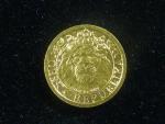 5 Dollars 2022 Zlatá 1/25 OZ investiční mince Český lev standart