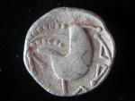 Tetradrachma, typ 