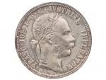 1 Zlatník 1889, raž. lesk_