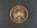 20 Koruna 1894