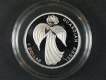 1 Dollar 2009 strážný anděl, Ag 925, 26g
