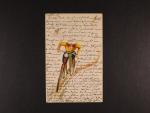 Umělecké - bar. litografie cyklistky, sign. Raphael Kirchner, použitá 1901 (se známkou s perfinem)