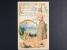 NÁMĚT - Reliefní barevná litografie s motivem přírody, dl. adresa, poslaná v r. 1903 do USA