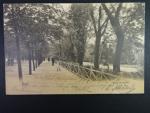 Brno - Koliště (Glacis) sady, prošlá 1906