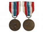 Pam. medaile 35. pěšího pluku Foligno