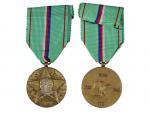 Pamětní medaile odbojové skupiny - Trávnice č.995, VM195