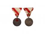 Stříbrná medaile Za zásluhy o Červený kříž, postříbřený kov, 1914-18