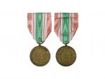 Pamětní medaile 31. pěšího pluku - ARCO