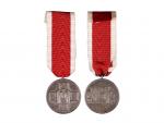 Vyznamenání za péči o německý lid, medaile, nová stuha
