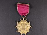 Záslužná legie (Legion of Merit) Legionář