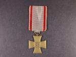 Pamětní odznak čs dobrovolce z let 1918-19