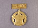 Čestný odznak Za ochranu hranic ČSSR 1.stupeň, na jehlu