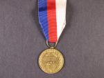 Medaile Na paměť 10 let trvání ČSL republiky, nová stuha