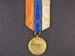 Medaile Na paměť 10 let trvání ČSL republiky, varianta, původní stuha