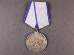 Medaile za odvahu č. 2307483