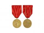 Bronzová medaile Za pracovní obětavost