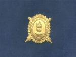 Zlatý čestný odznak krále Karla IV. - Za budování brannosti