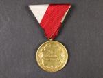 Medaile Za zvláštní službu Zemského veteránského spolku zlatá