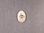 Miniatura odznaku výsadkového vojska 1949-51 č.2794, puncované Ag, výrobce Karnet Kyselý, předělaný na šroub