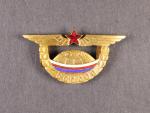 ČSA, čestný letecký odznak za odlétaných 4 000 000 km, bronz, smalty, neznačeno