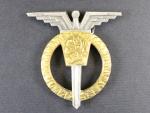 Odznak Letovoda 1. třídy