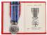ČSSR 1948 - 1989 - Medaile - za pracovní věrnost - ČSSR, punc Ag 925, značka výrobce Mincovna Kremnica + udělovací průkaz a etue