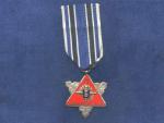 Pamětní medaile 1. úderného praporu Ruských Legií č.336