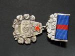 Odznak SVAZARM 1976