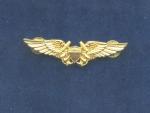 Odznak řídícího důstojníka letectva na palubě