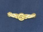 Odznak letecké skupiny výběr