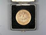 Pamětní medaile 1869 - 1889 + etue