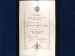 Dekret na Královskou Srbskou zlatou medaili královny Nathalie, 41 x 29 cm
