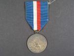 Pamětní medaile manifestačního sjezdu dobrovolců (na pamě? I.celostátního sjezdu v Brně)