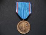 Francouzsko-Československá pamětní medaile města Darney