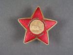 Pamětní odznak I. Stalinovy partyzánské brigády č.1785