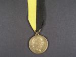Pamětní veteránská medaile na císařské manévry konané u Lanškrouna 1894