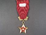 Zlatá hvězda hrdiny ČSSR, nositelská kopie