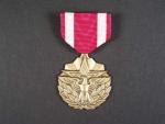 Záslužná služební medaile