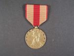 Expediční medaile námořní pěchoty